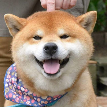 รูปภาพสำหรับผู้ผลิตนี้ KaitongKT
